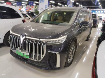 2023年10月 嵐圖 夢想家 PHEV 超長續(xù)航旗艦版圖片