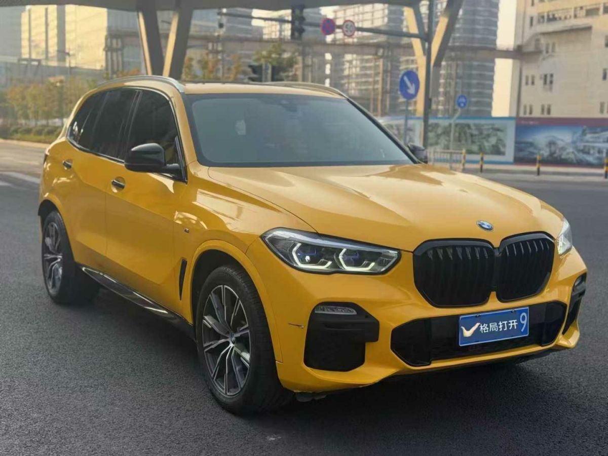 寶馬 寶馬X5  2019款 xDrive30i X設(shè)計(jì)套裝圖片