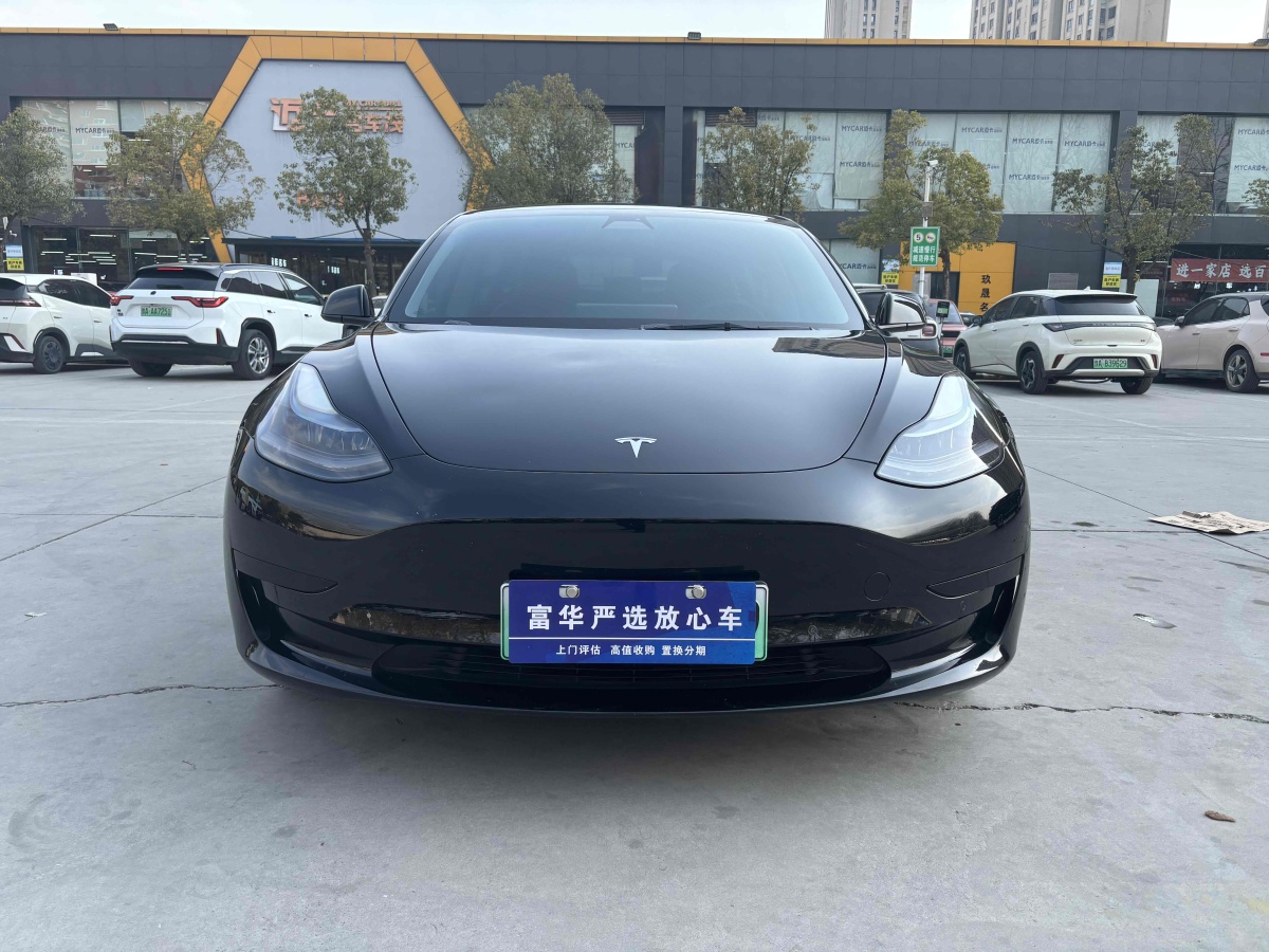 特斯拉 Model 3  2021款 標(biāo)準(zhǔn)續(xù)航后驅(qū)升級版 3D6圖片