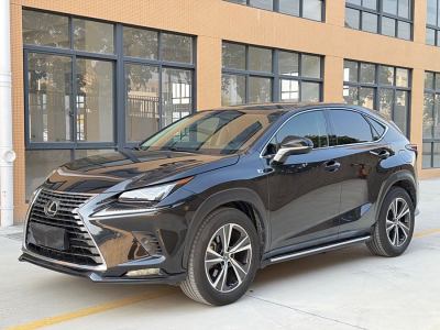 2019年1月 雷克薩斯 NX 300 前驅(qū) 鋒行版圖片