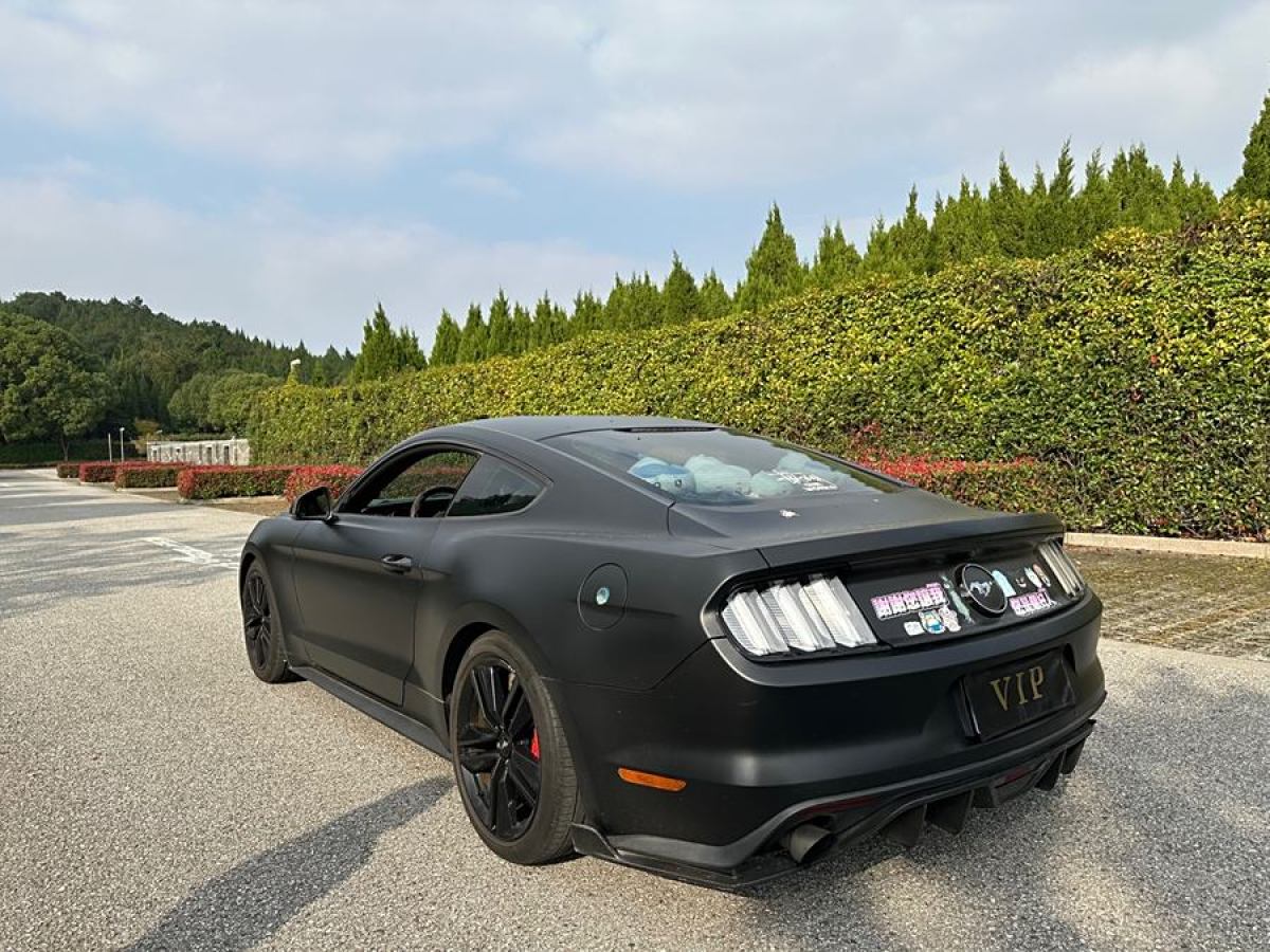 福特 Mustang  2015款 2.3T 性能版圖片