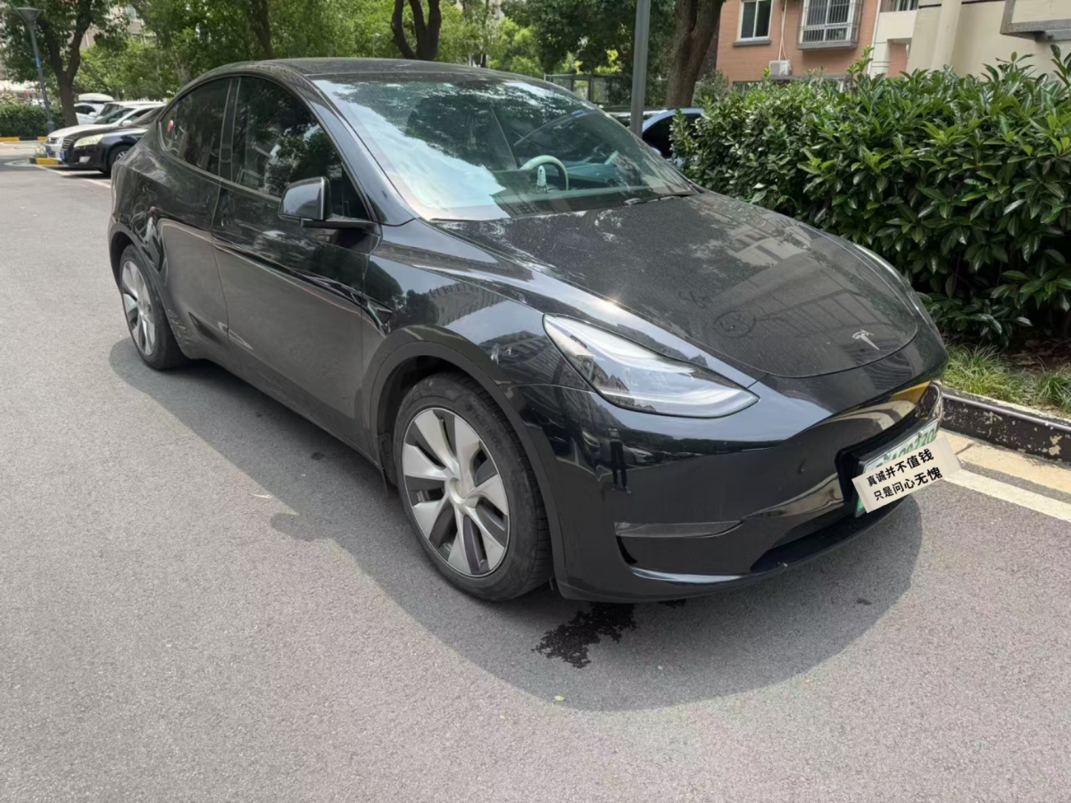 特斯拉 Model Y  2021款 標(biāo)準(zhǔn)續(xù)航后驅(qū)版圖片