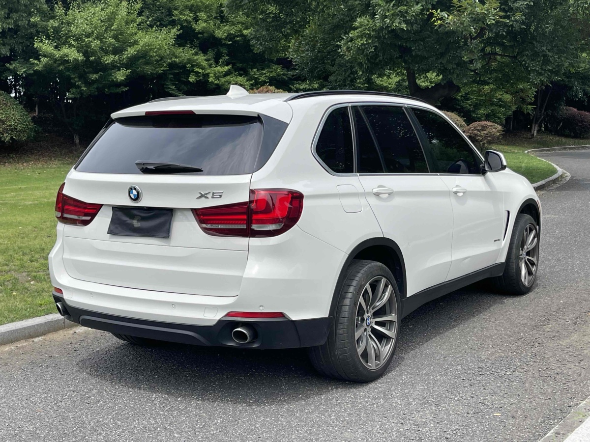 寶馬 寶馬X5  2014款 xDrive35i 領(lǐng)先型圖片