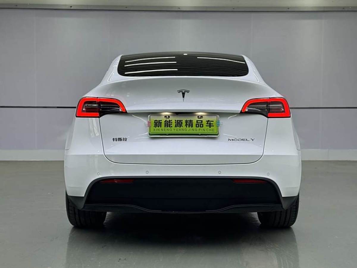 特斯拉 Model Y  2021款 改款 長續(xù)航全輪驅(qū)動版圖片