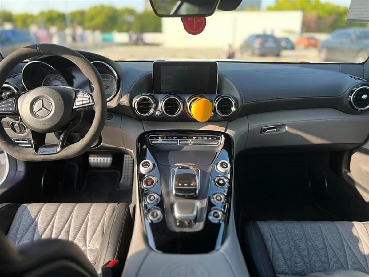 奔驰 奔驰AMG GT  2018款 AMG GT C 中国特别版图片