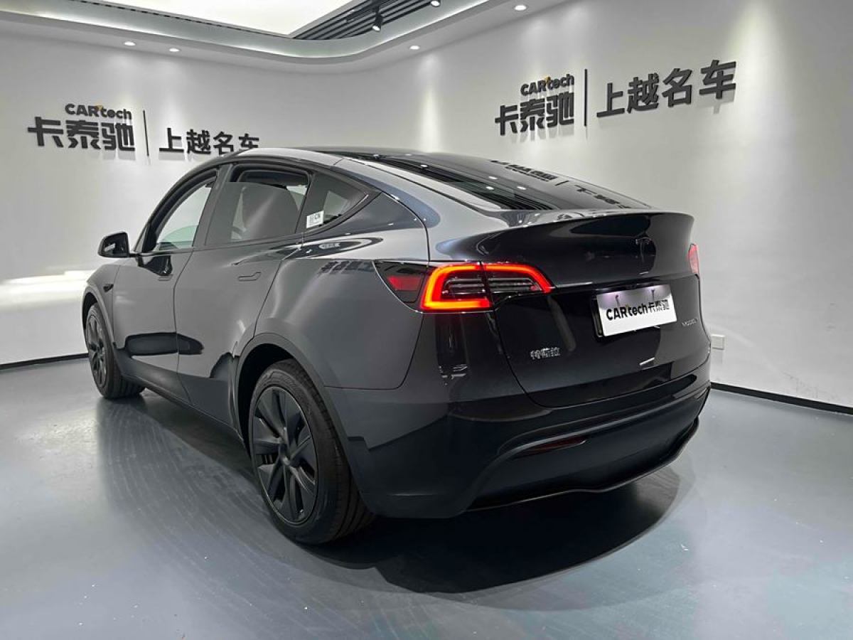 特斯拉 Model Y  2020款 改款 長續(xù)航后輪驅(qū)動版圖片