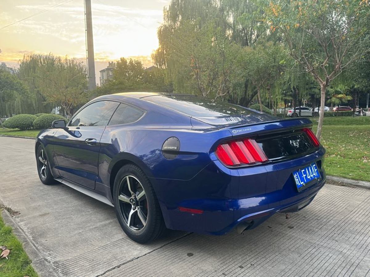 福特 Mustang  2015款 2.3T 性能版圖片