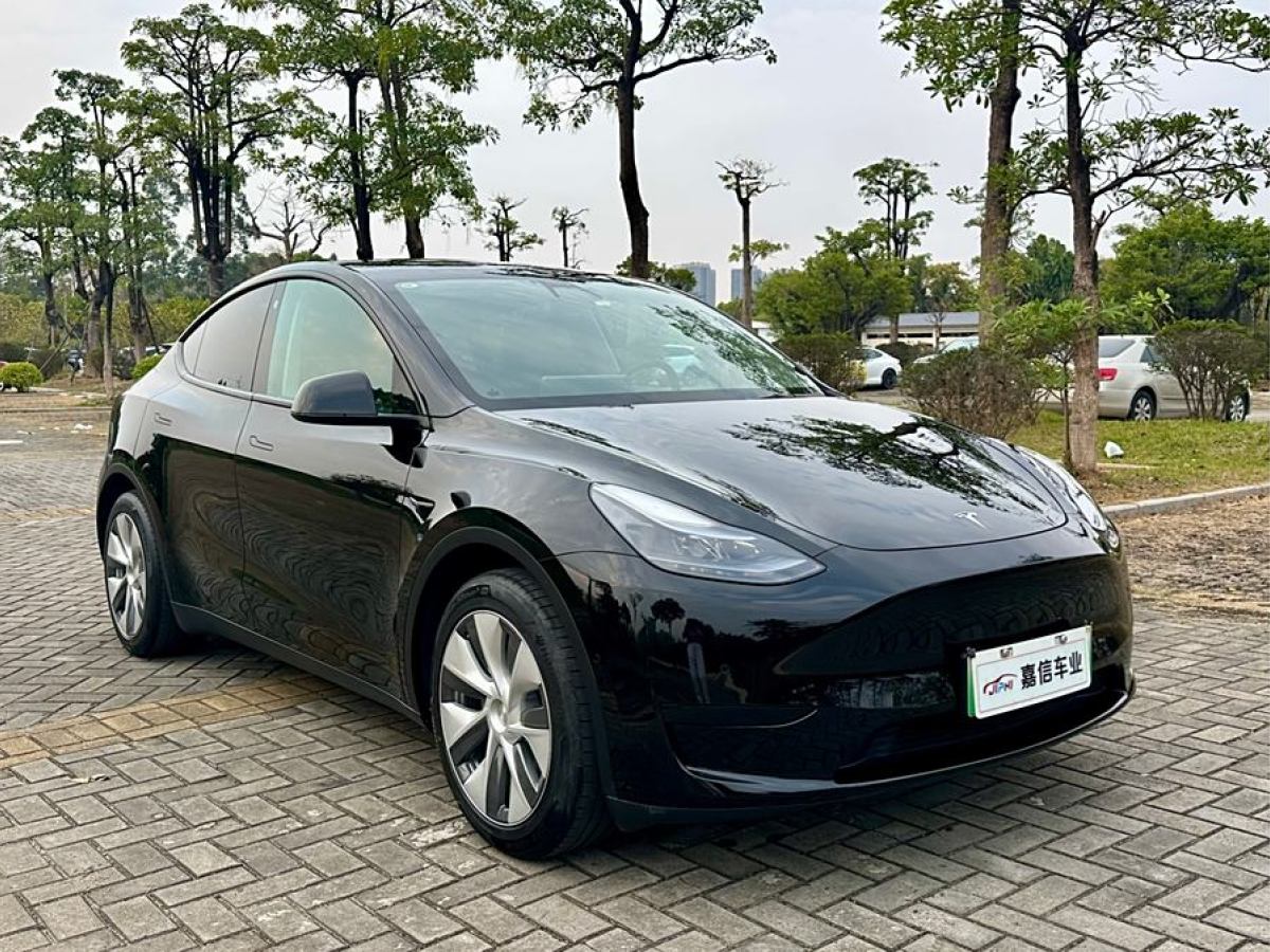 特斯拉 Model 3  2020款 改款 長續(xù)航后輪驅(qū)動版圖片