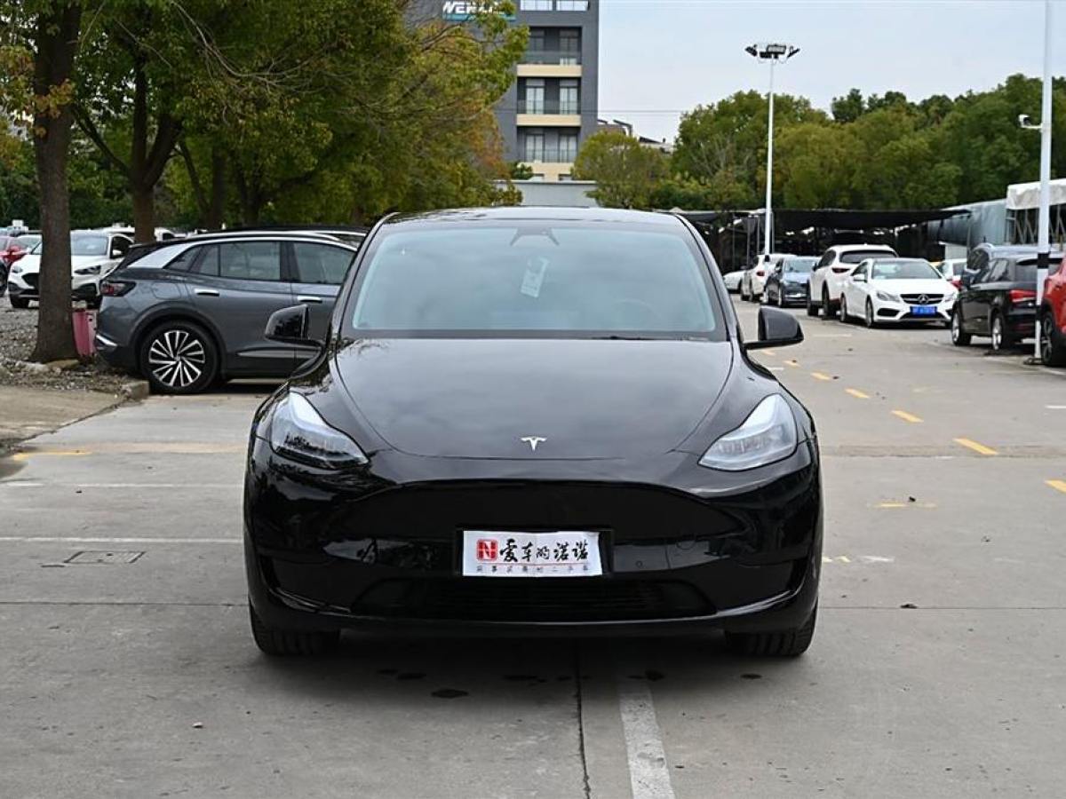 特斯拉 Model 3  2020款 改款 長續(xù)航后輪驅(qū)動版圖片