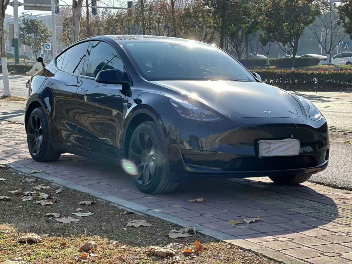 特斯拉 Model S  2023款 三電機(jī)全輪驅(qū)動(dòng) Plaid版圖片