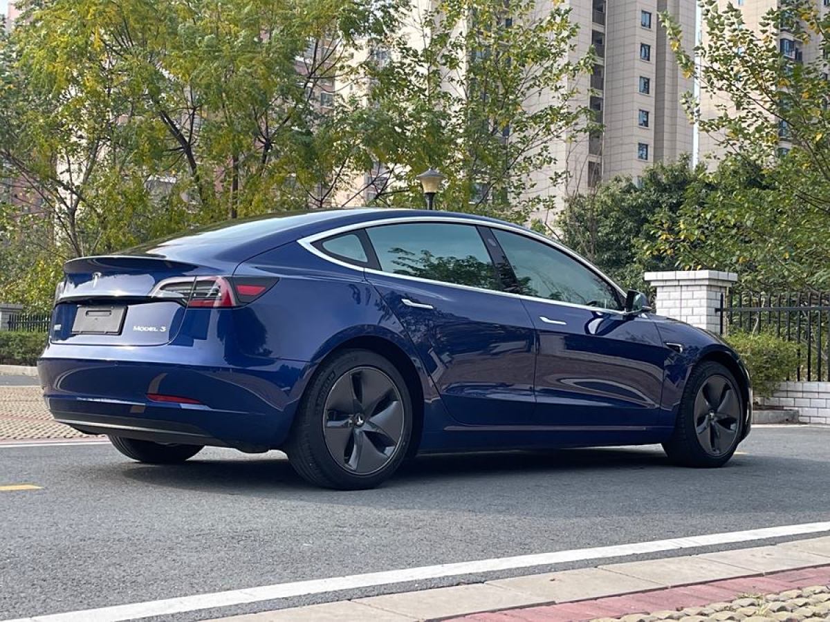 特斯拉 Model 3  2019款 標(biāo)準(zhǔn)續(xù)航后驅(qū)升級版圖片