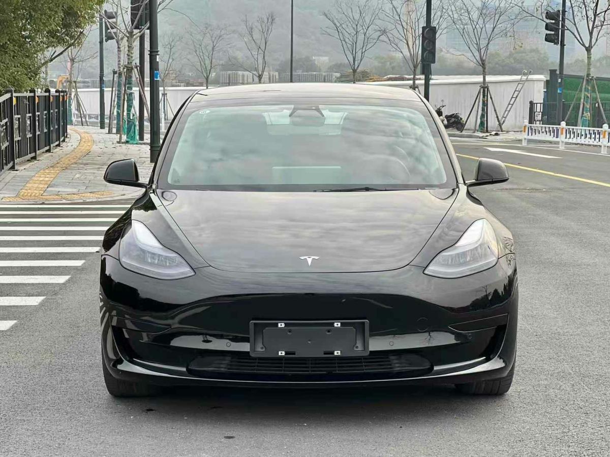 特斯拉 Model Y  2021款 標準續(xù)航后驅版圖片