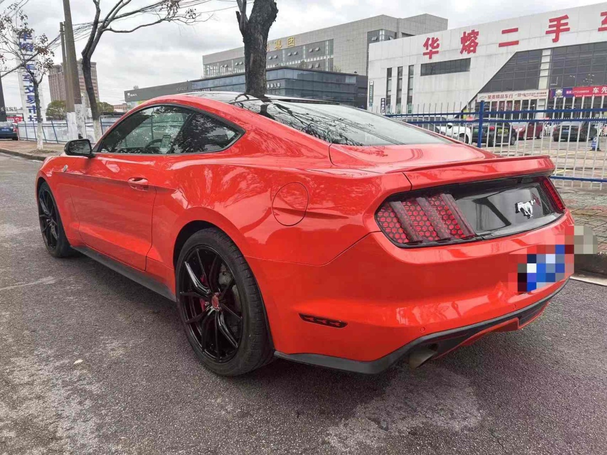 福特 Mustang  2016款 2.3T 性能版圖片