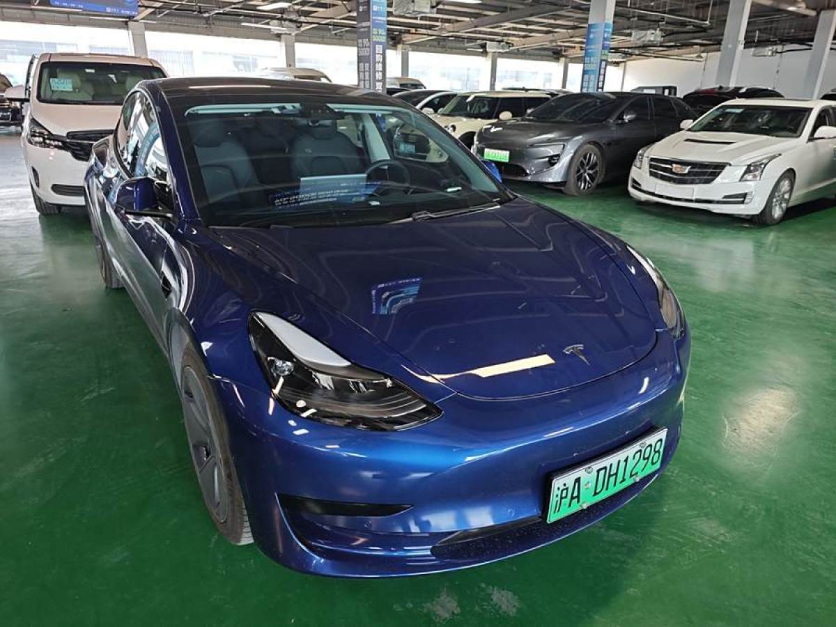 特斯拉 Model 3  2021款 改款 標(biāo)準(zhǔn)續(xù)航后驅(qū)升級(jí)版圖片