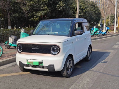 2023年02月 吉利 熊貓mini 200km 靈動(dòng)熊圖片