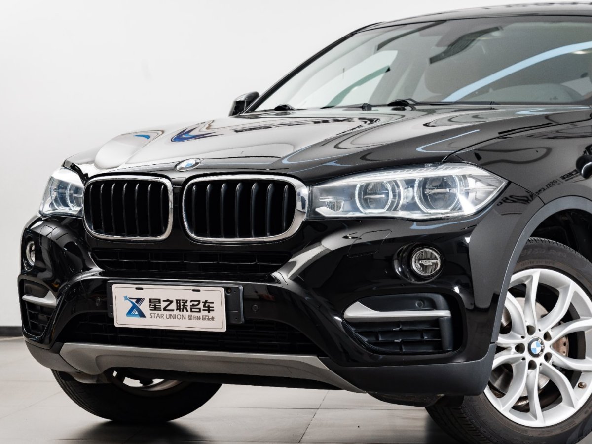 寶馬 寶馬X6  2017款 xDrive35i 領(lǐng)先型圖片