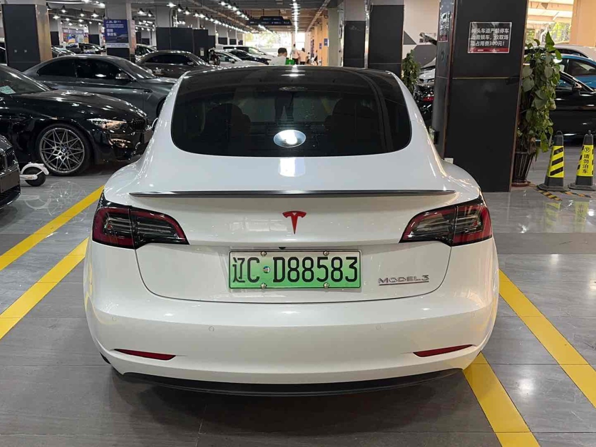 特斯拉 Model 3  2019款 Performance高性能全輪驅(qū)動版圖片