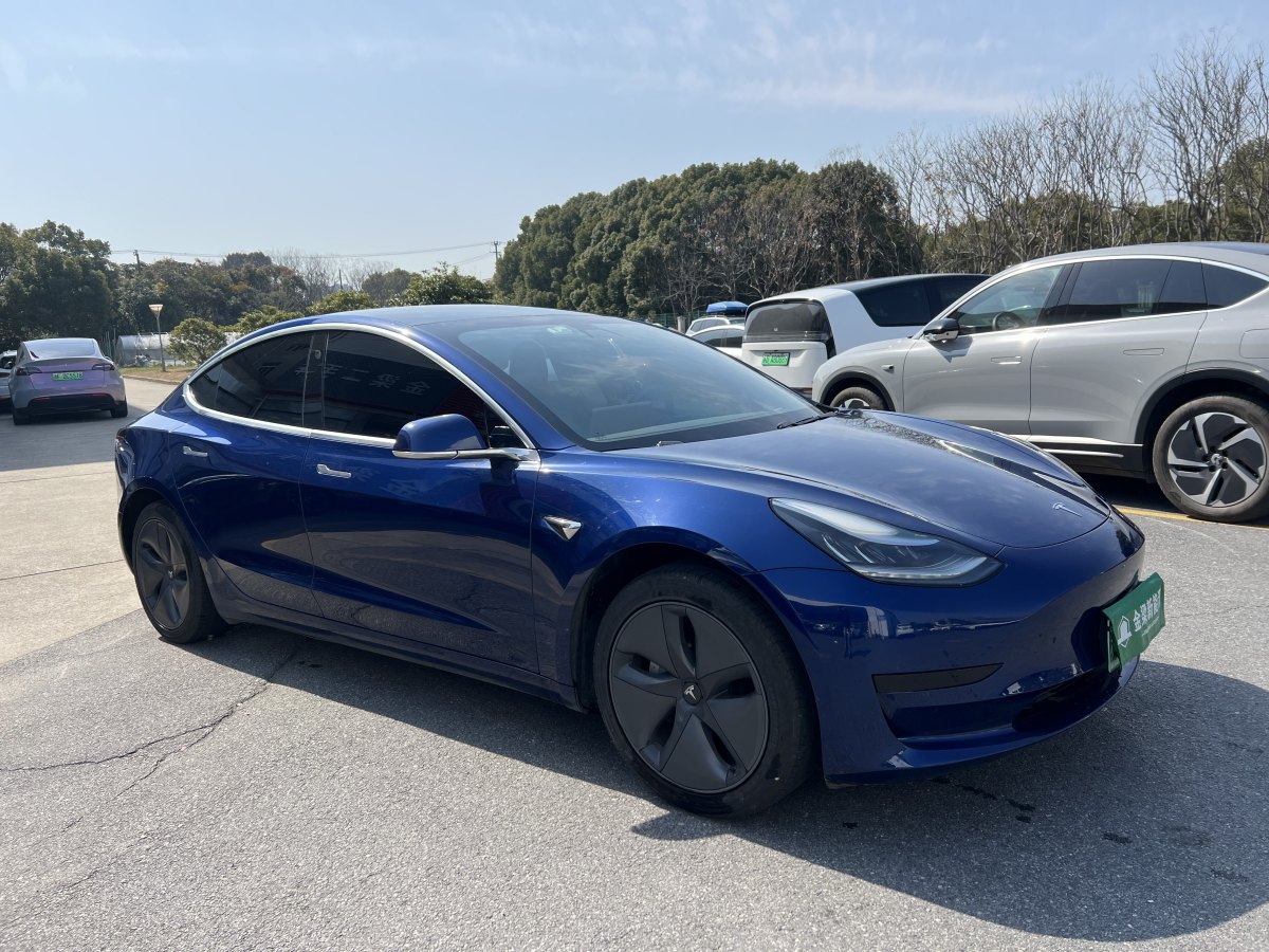 特斯拉 Model 3  2019款 標(biāo)準(zhǔn)續(xù)航后驅(qū)升級(jí)版圖片