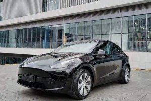 Model Y 特斯拉 后輪驅(qū)動版