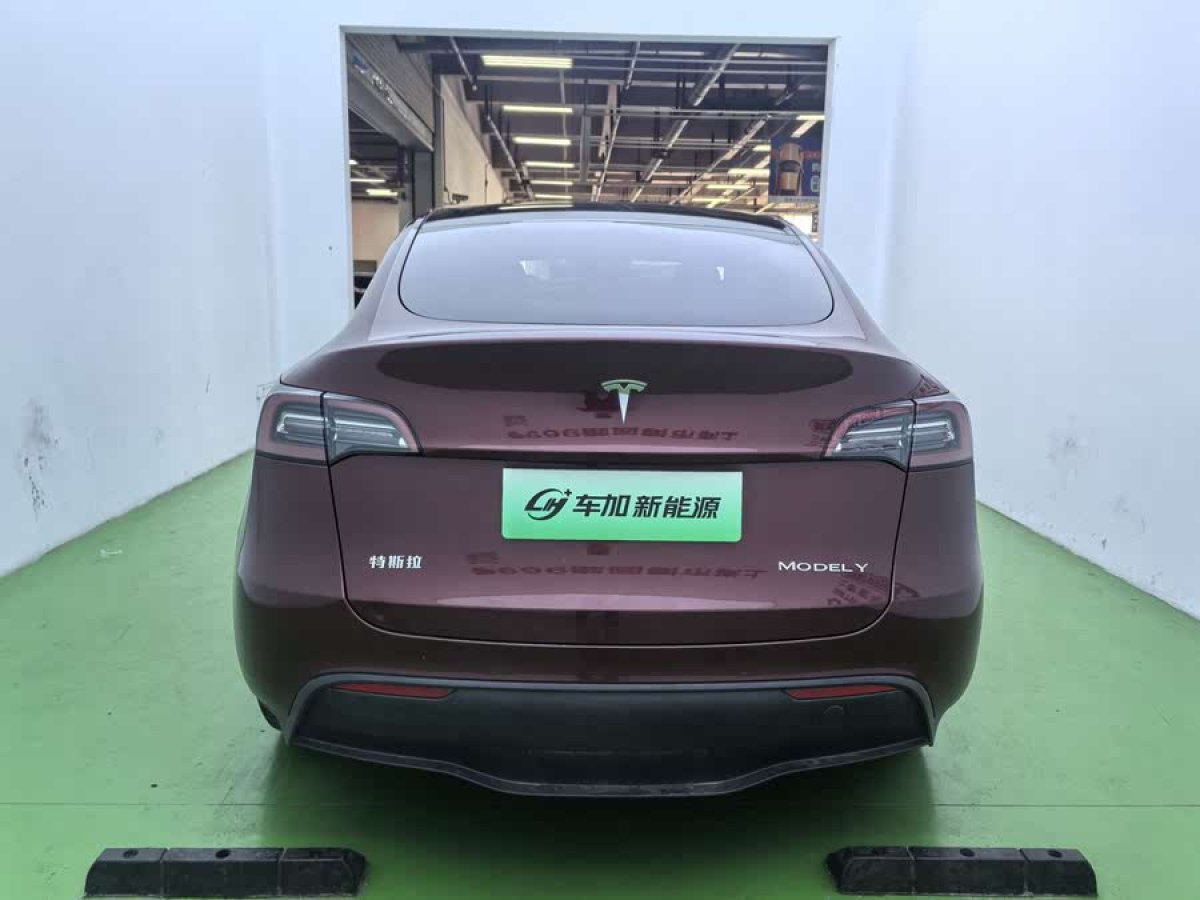 特斯拉 Model Y  2021款 標(biāo)準(zhǔn)續(xù)航后驅(qū)版圖片