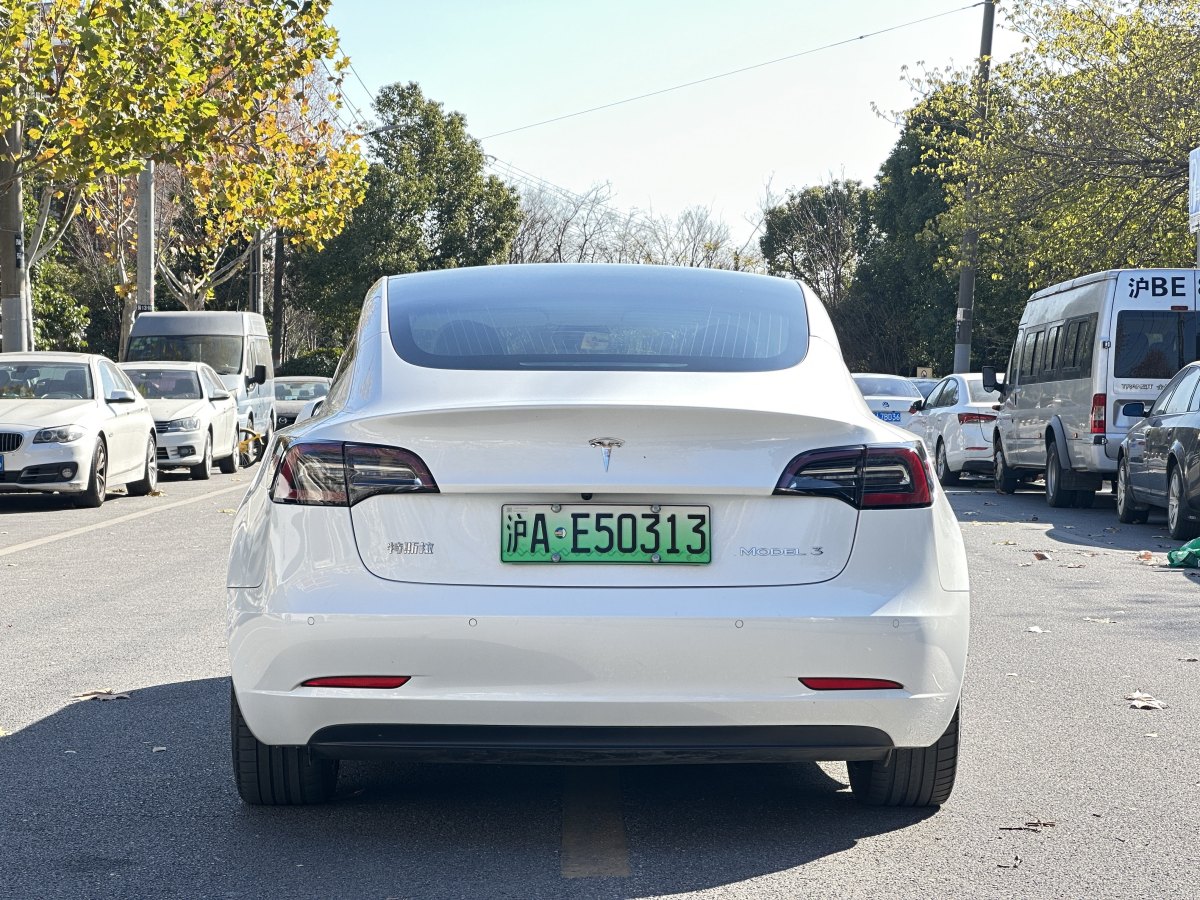 特斯拉 Model 3  2019款 標(biāo)準(zhǔn)續(xù)航后驅(qū)升級(jí)版圖片