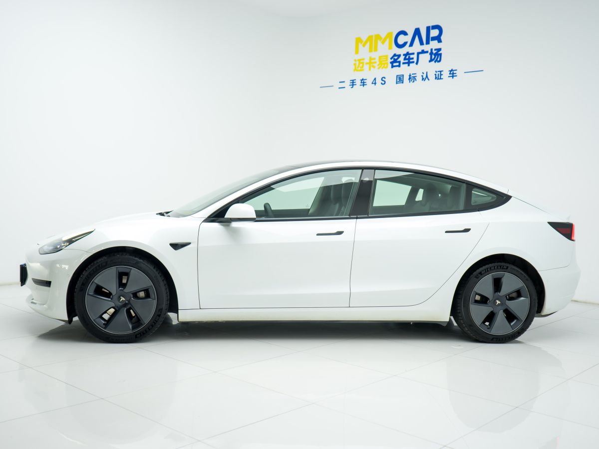 特斯拉 Model 3  2021款 標(biāo)準(zhǔn)續(xù)航后驅(qū)升級(jí)版 3D6圖片