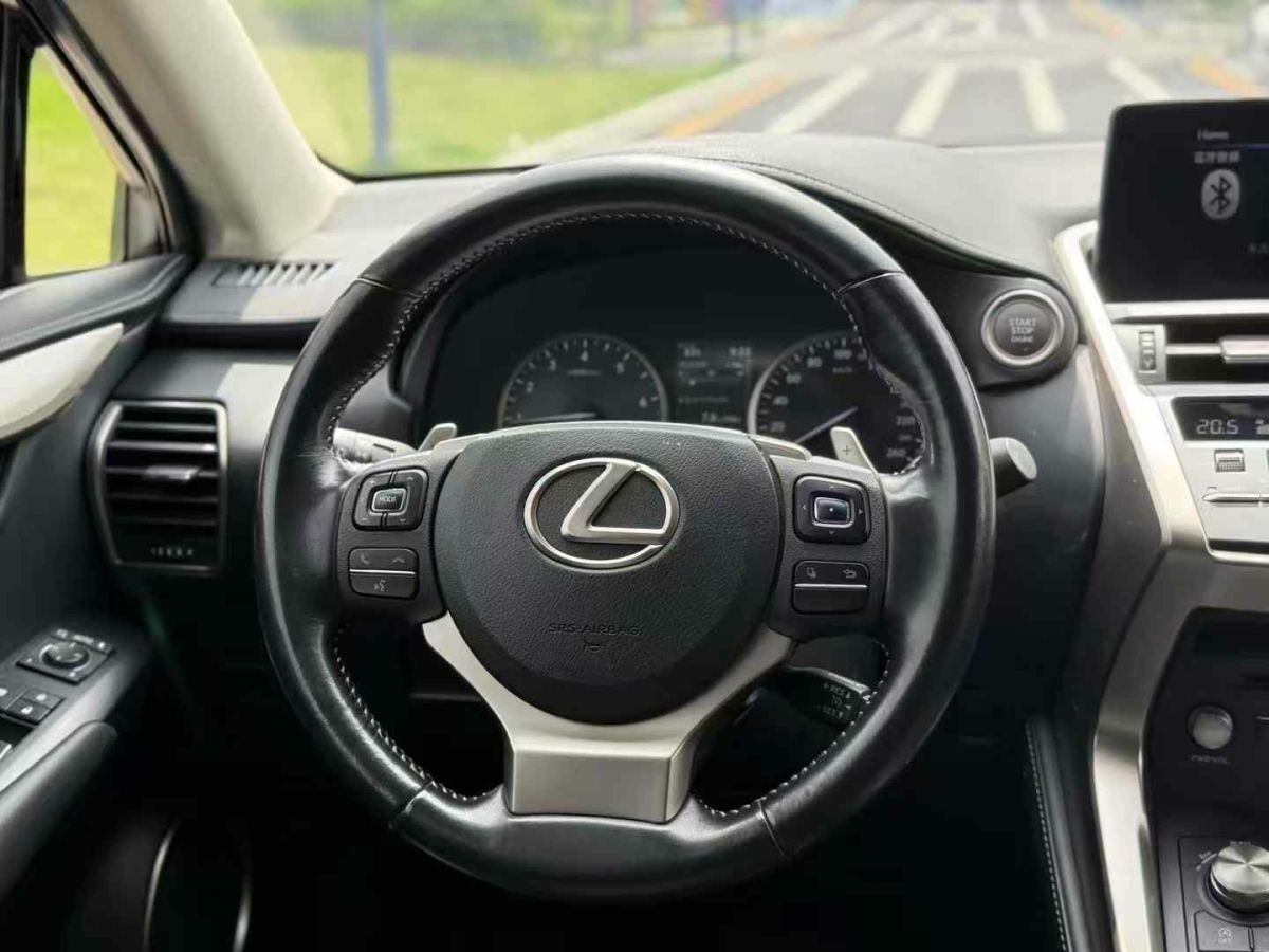 雷克薩斯 NX  2019款 300h 百萬(wàn)紀(jì)念限量版 國(guó)VI圖片