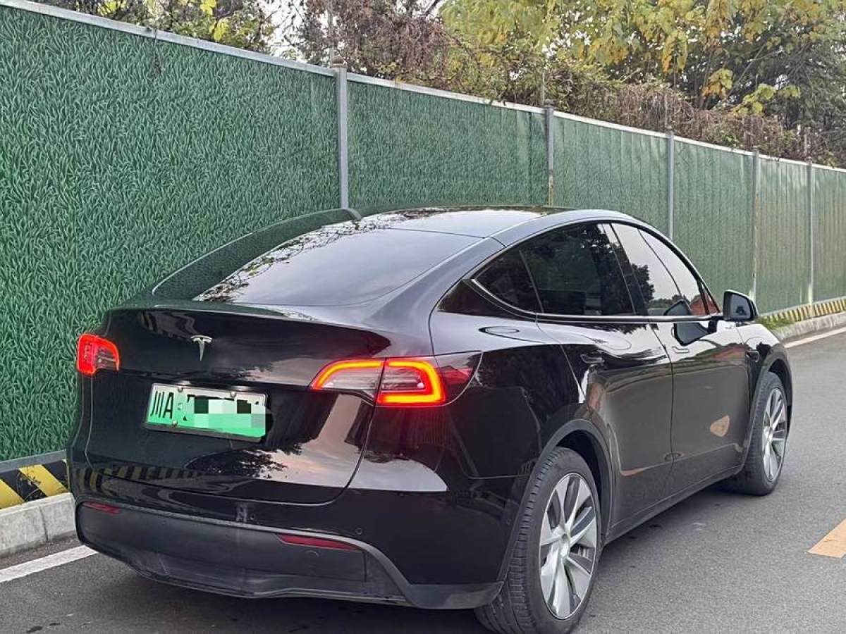 特斯拉 Model 3  2020款 改款 長續(xù)航后輪驅動版圖片