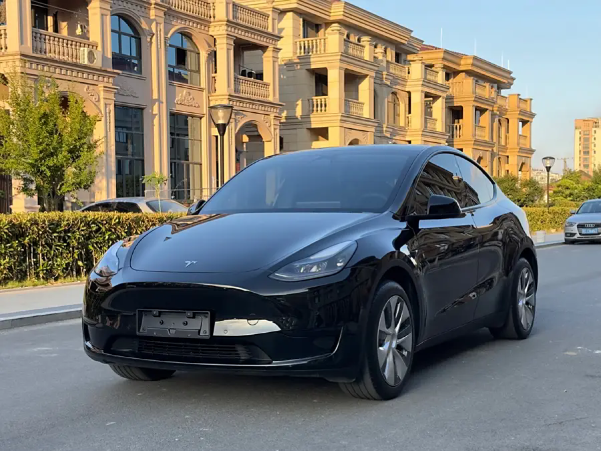 特斯拉 Model Y  2020款 改款 長續(xù)航后輪驅(qū)動版圖片