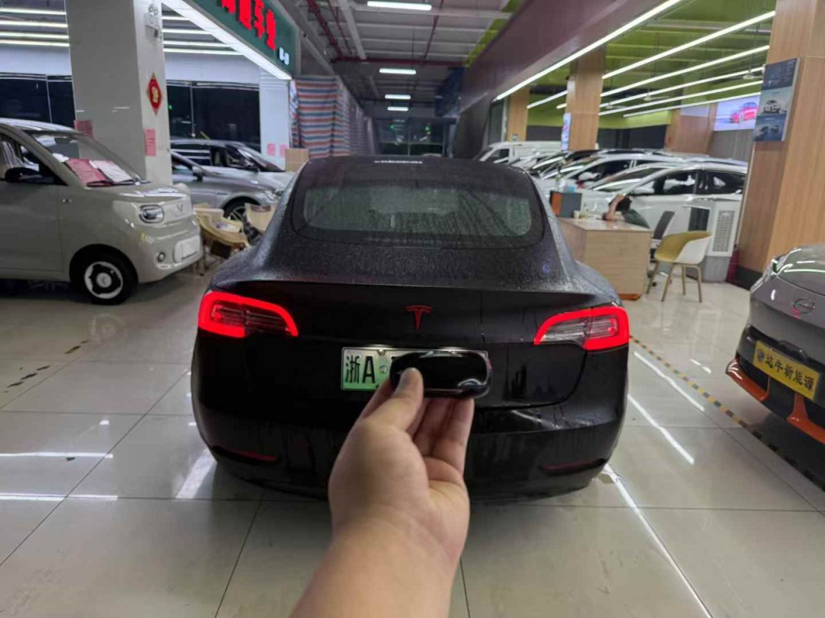 特斯拉 Model X  2020款 Performance 高性能版圖片