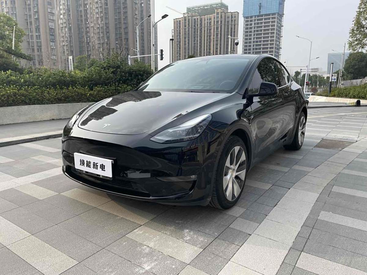 2021年5月特斯拉 Model Y  2021款 長續(xù)航全輪驅(qū)動(dòng)版 3D7