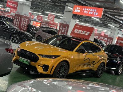 2024年1月 福特 Mustang Mach-E(进口) GT图片