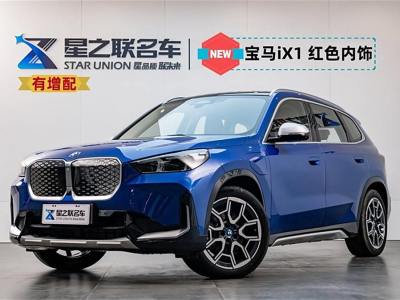 2023年11月 寶馬 寶馬iX1 xDrive30L X設(shè)計套裝圖片