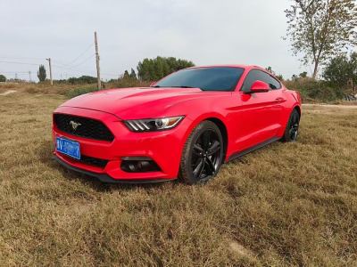 2015年9月 福特 Mustang(進(jìn)口) 2.3T 50周年紀(jì)念版圖片