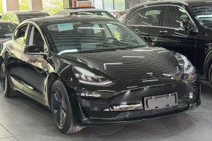 Model 3 特斯拉 標準續(xù)航后驅升級版