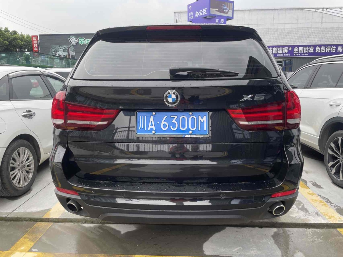 寶馬 寶馬X5  2014款 xDrive35i 領(lǐng)先型圖片