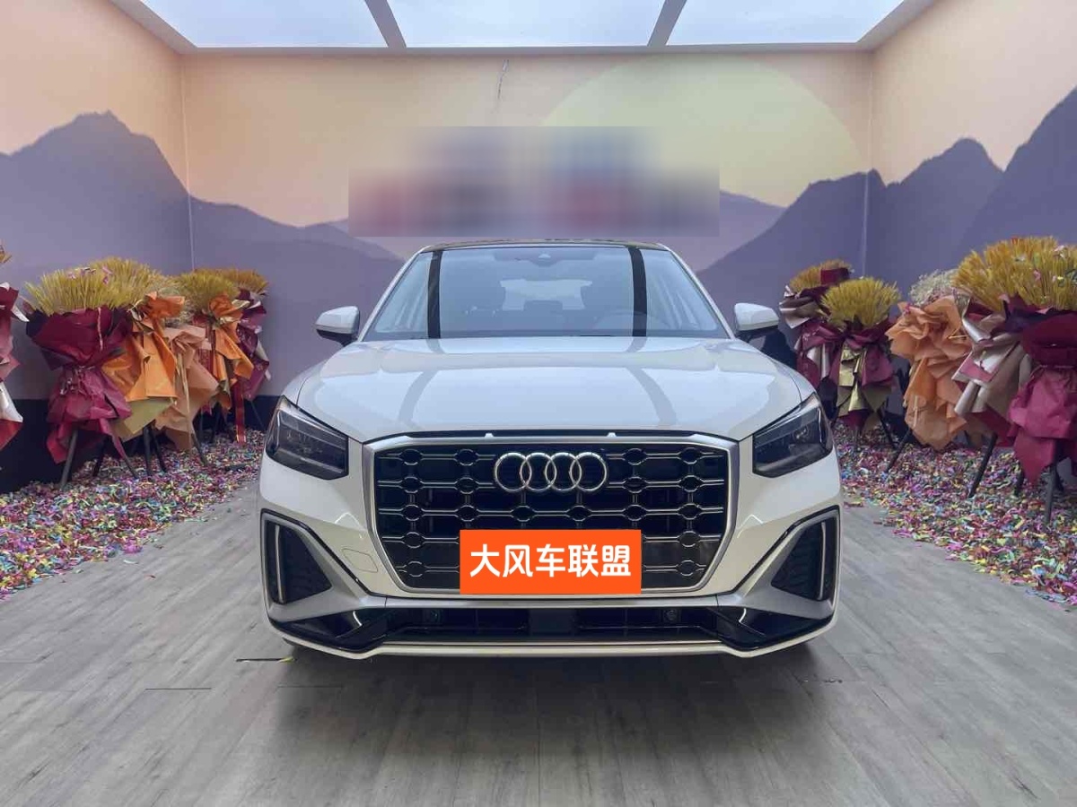 奧迪 奧迪Q2L  2024款 35TFSI 進(jìn)取動(dòng)感型圖片