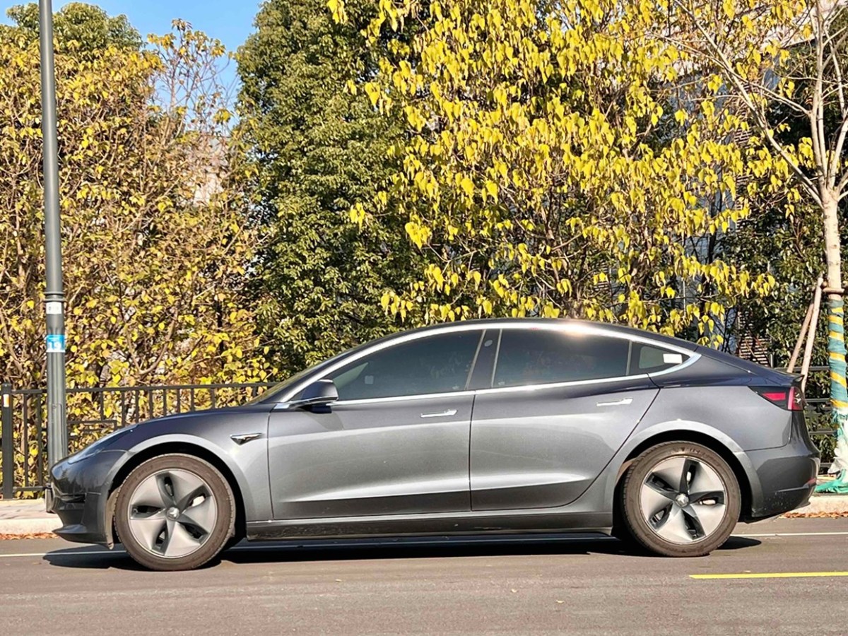 特斯拉 Model 3  2019款 標(biāo)準(zhǔn)續(xù)航后驅(qū)升級(jí)版圖片