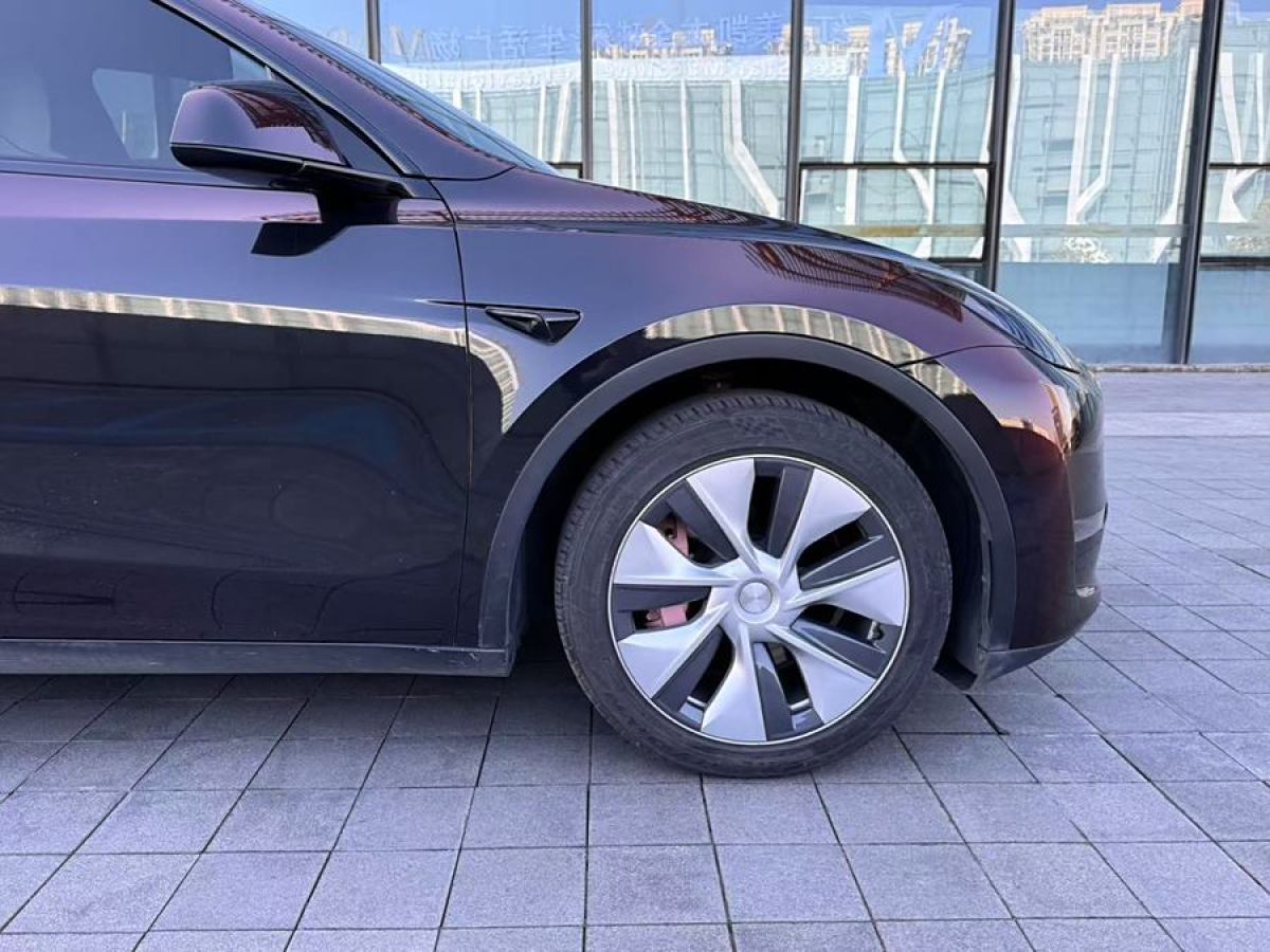 特斯拉 Model Y  2021款 改款 長(zhǎng)續(xù)航全輪驅(qū)動(dòng)版圖片