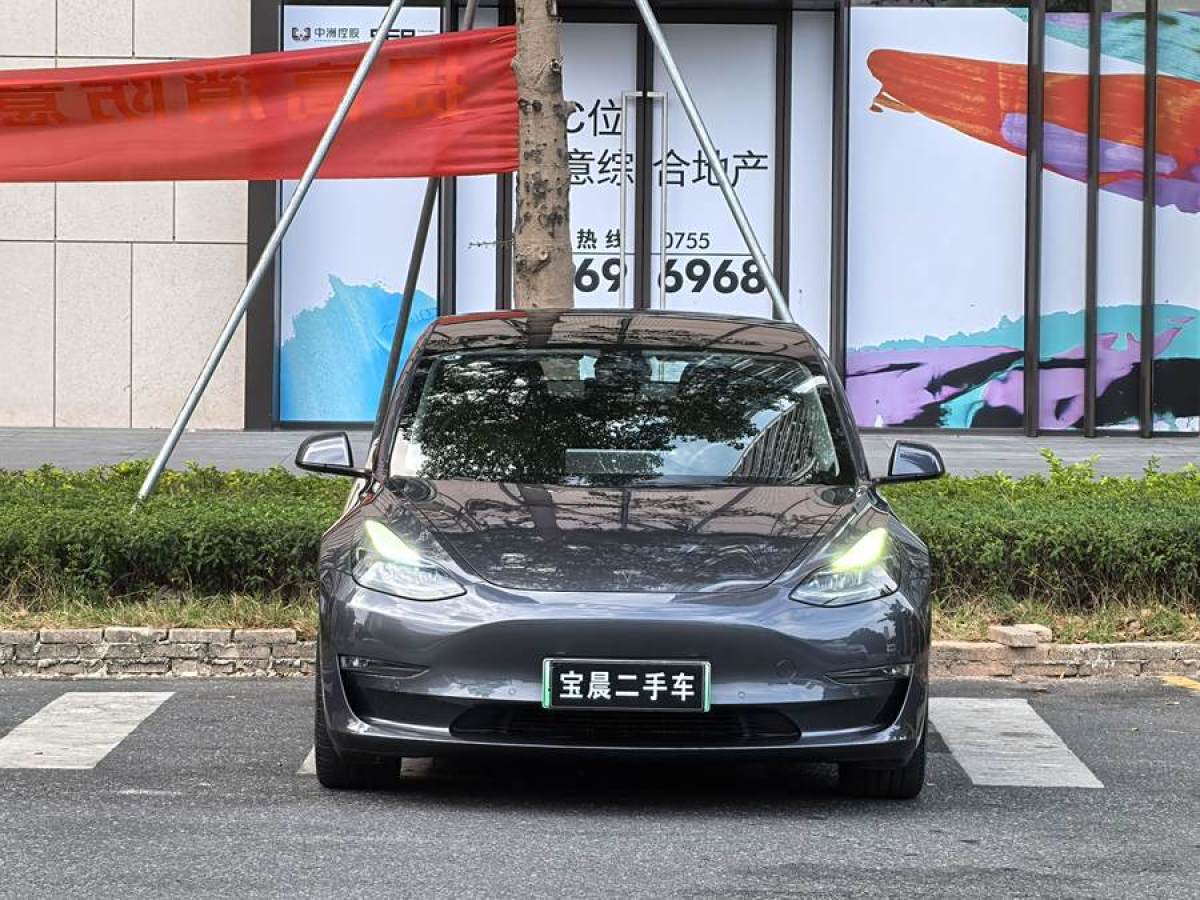 特斯拉 Model 3  2022款 Performance高性能全輪驅(qū)動(dòng)版圖片