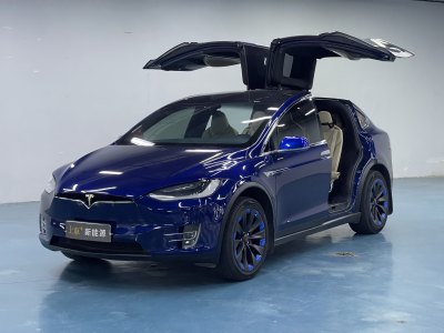 2017年1月 特斯拉 Model X Model X 60D圖片