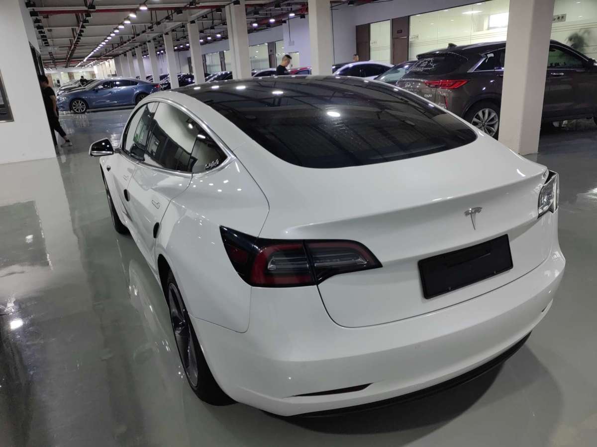 特斯拉 Model 3  2019款 長續(xù)航后驅版圖片