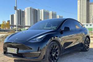 Model Y 特斯拉 后轮驱动版