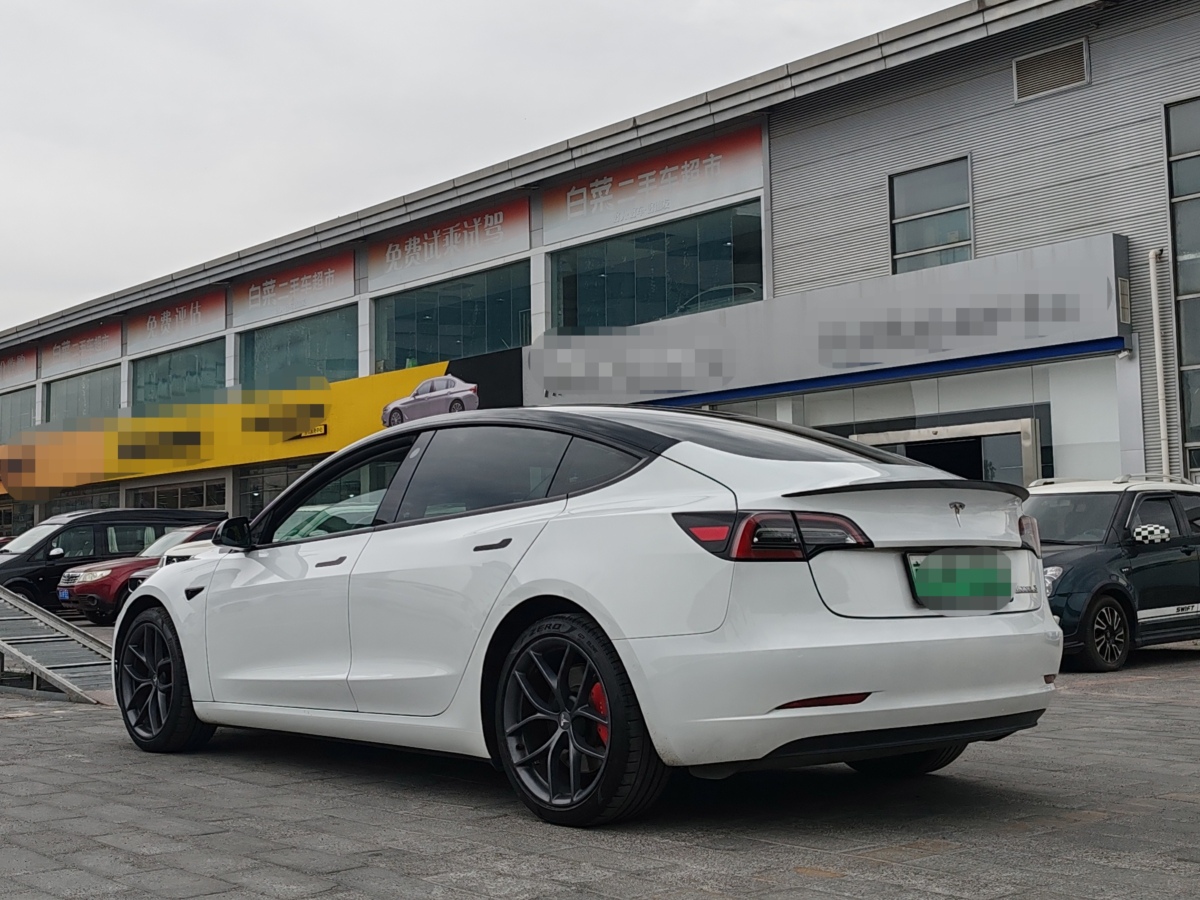 特斯拉 Model 3  2019款 Performance高性能全輪驅(qū)動版圖片