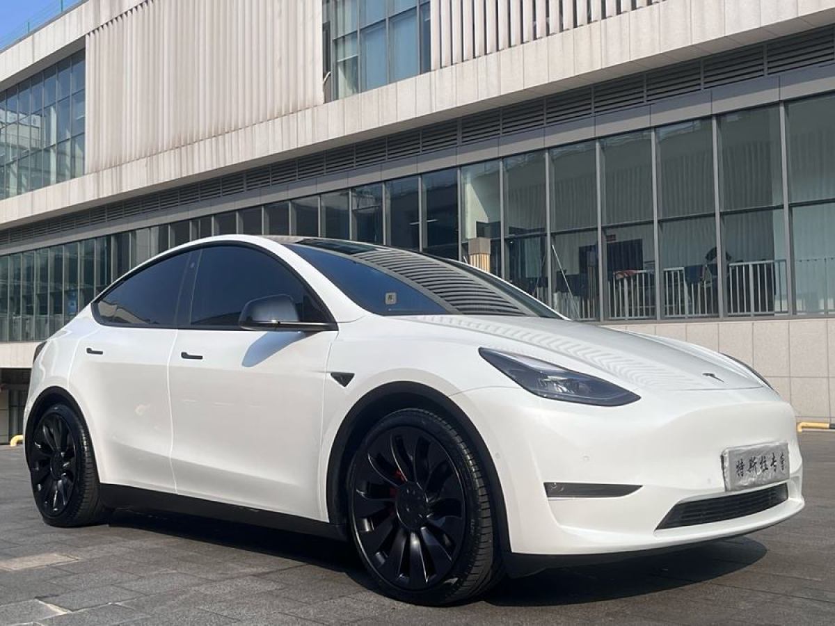 特斯拉 Model Y  2022款 Performance高性能全輪驅(qū)動(dòng)版圖片