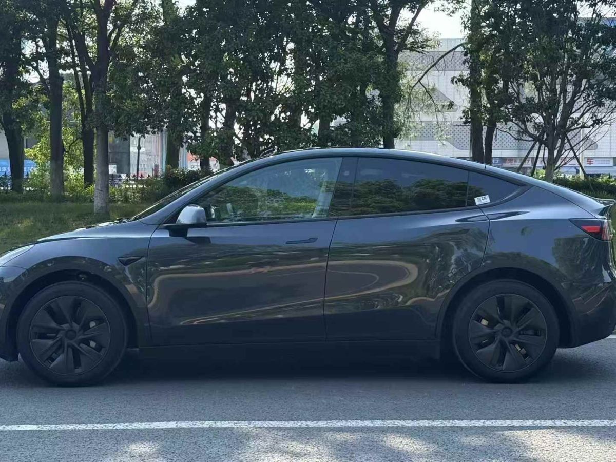 特斯拉 Model Y  2024款 Performance高性能版圖片