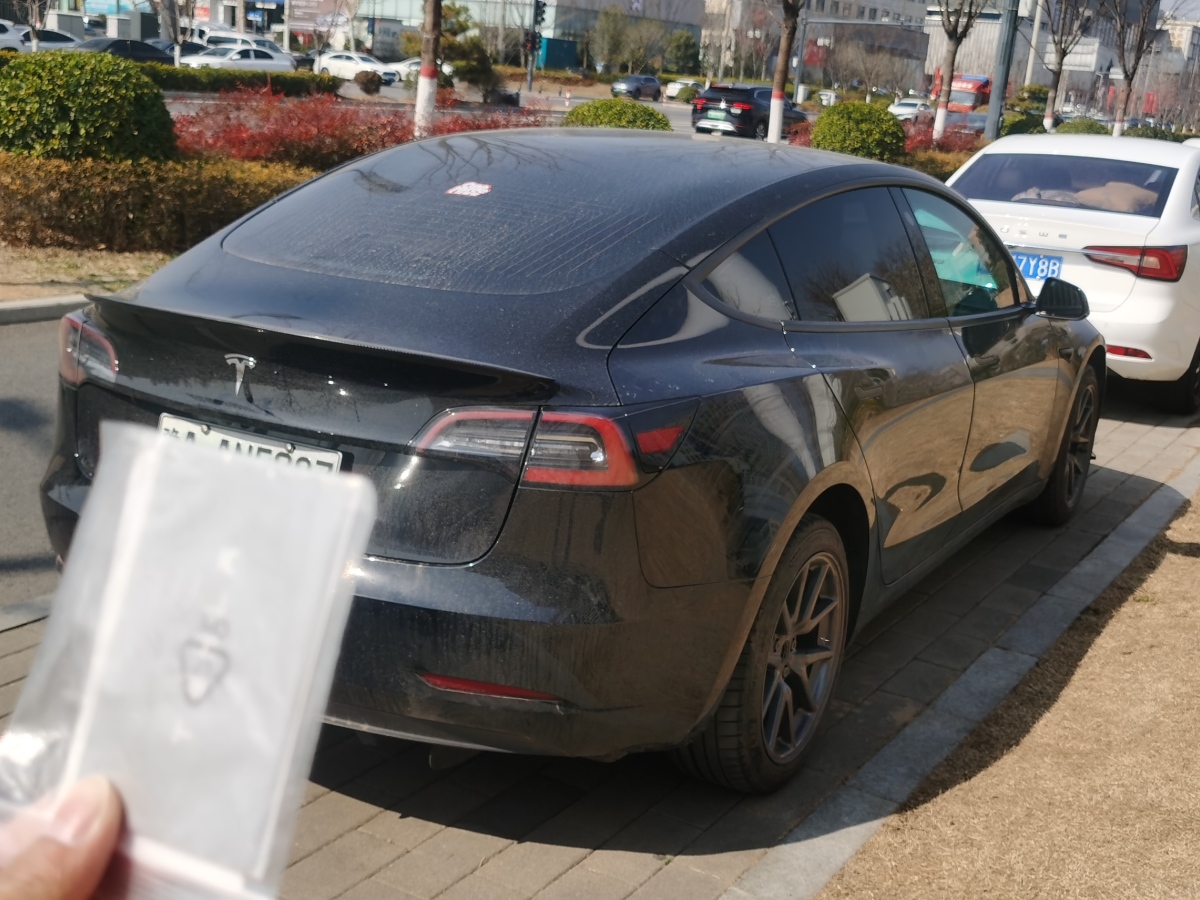 特斯拉 Model 3  2019款 標(biāo)準(zhǔn)續(xù)航后驅(qū)升級版圖片