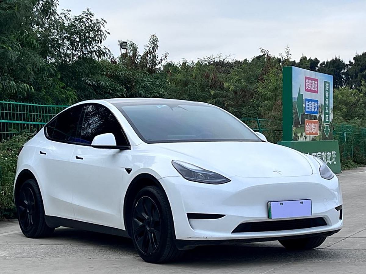 特斯拉 Model Y  2023款 煥新版 后輪驅(qū)動圖片