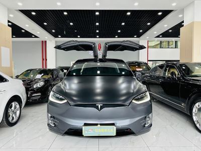 2019年1月 特斯拉 Model X Model X 100D 長(zhǎng)續(xù)航版圖片