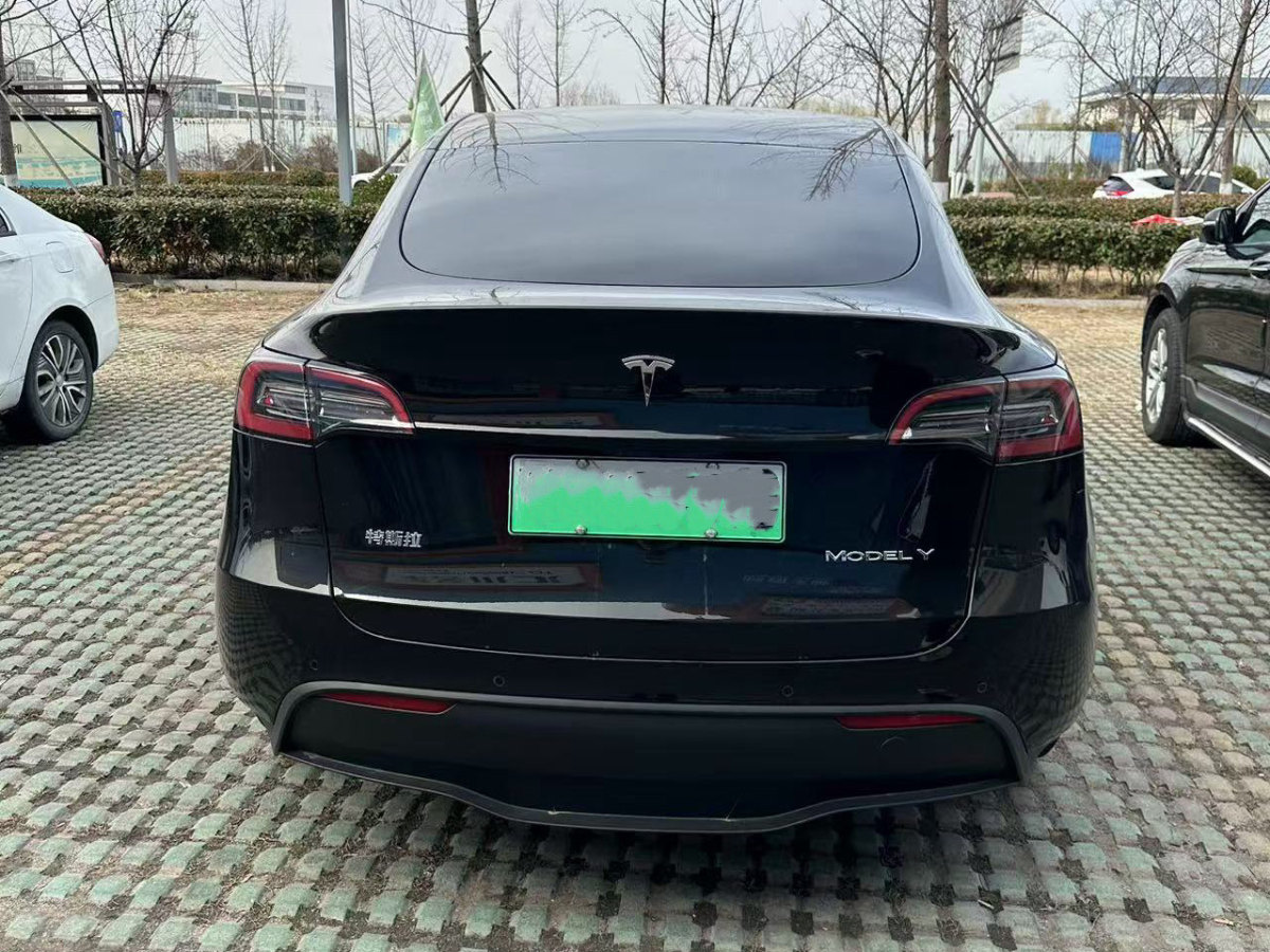 特斯拉 Model 3  2020款 改款 長續(xù)航后輪驅(qū)動版圖片